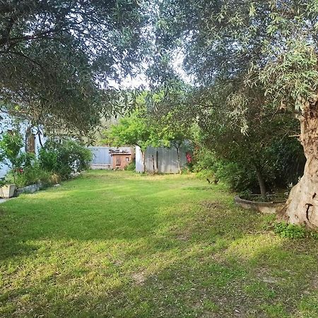 לפוקסטרו Zephyr Guest House מראה חיצוני תמונה