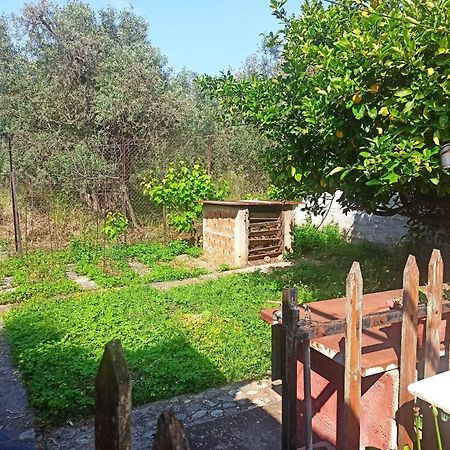 לפוקסטרו Zephyr Guest House מראה חיצוני תמונה