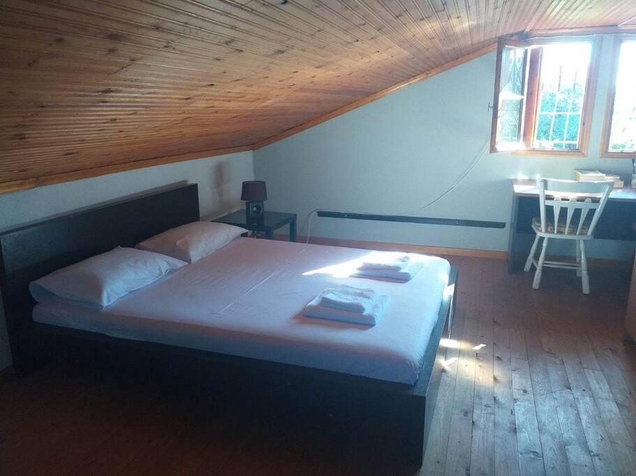לפוקסטרו Zephyr Guest House מראה חיצוני תמונה