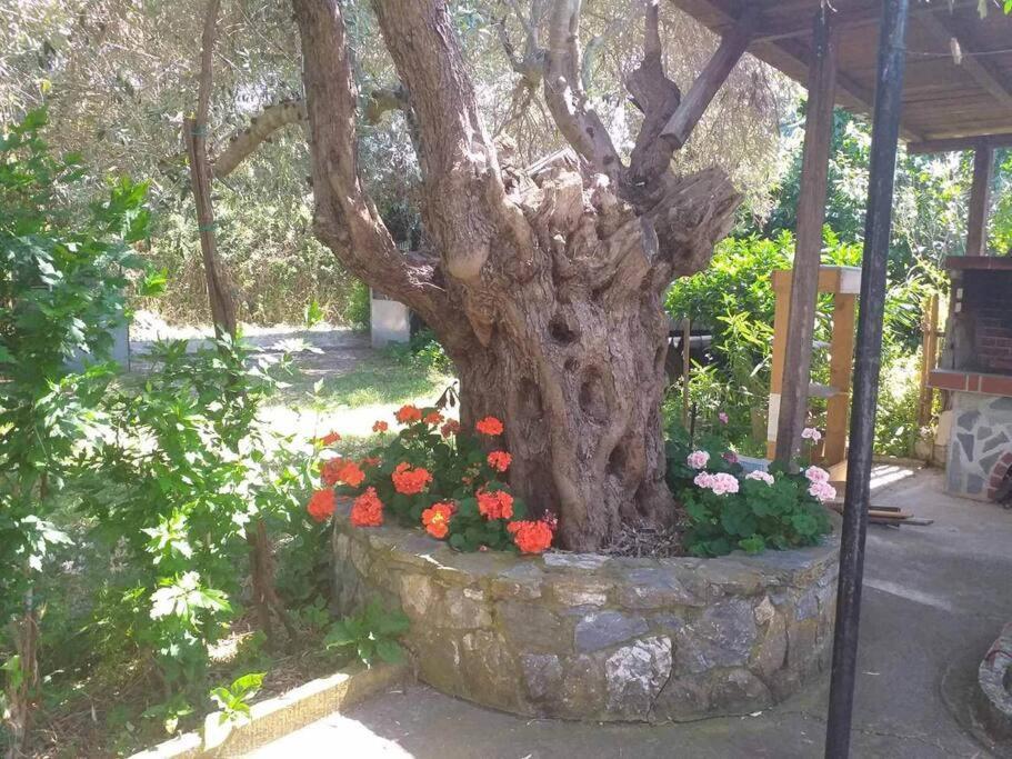 לפוקסטרו Zephyr Guest House מראה חיצוני תמונה