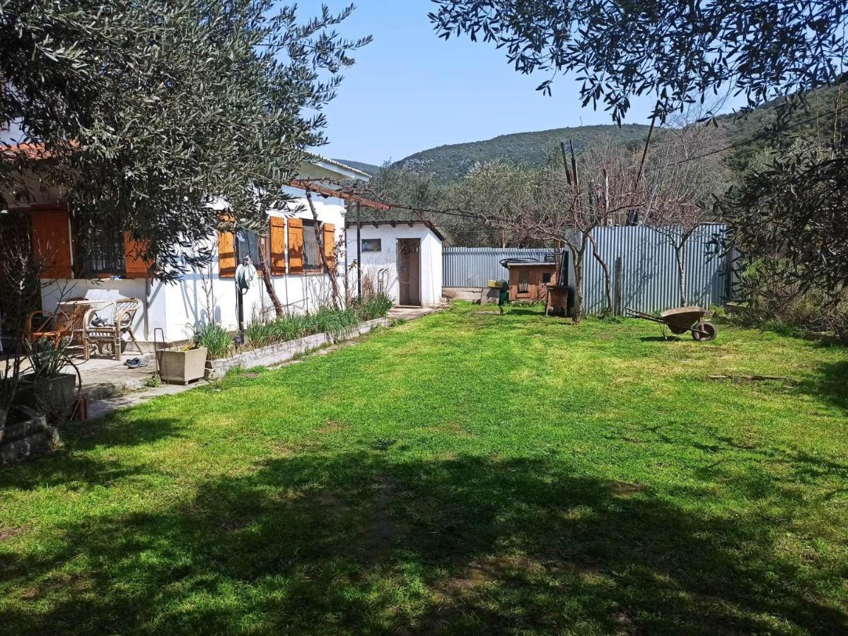 לפוקסטרו Zephyr Guest House מראה חיצוני תמונה
