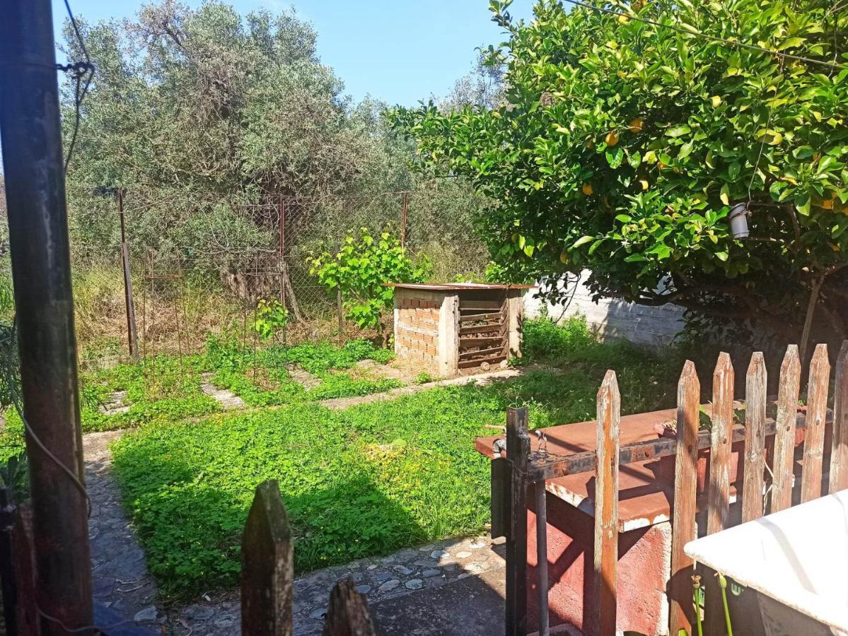 לפוקסטרו Zephyr Guest House מראה חיצוני תמונה