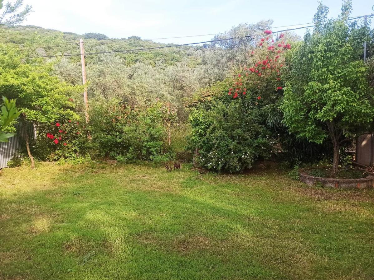 לפוקסטרו Zephyr Guest House מראה חיצוני תמונה