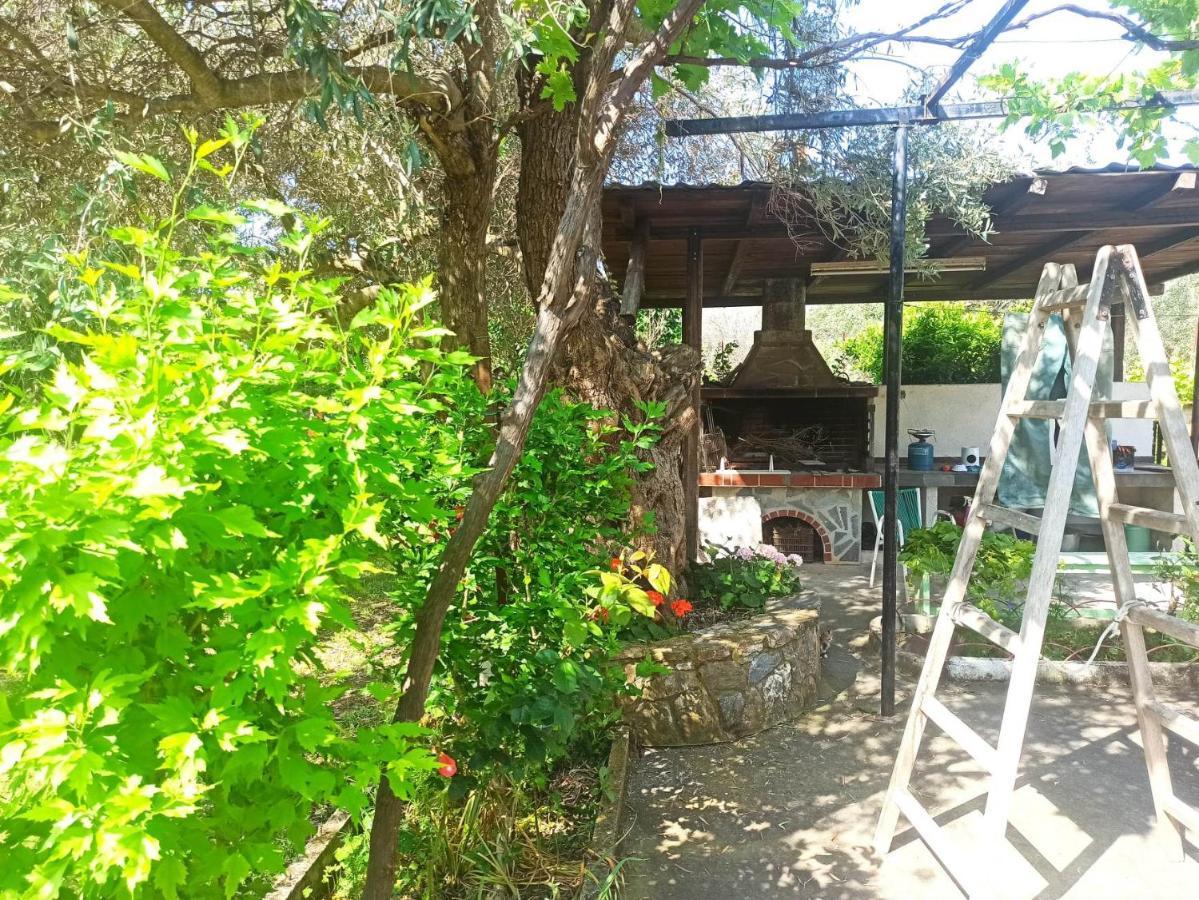 לפוקסטרו Zephyr Guest House מראה חיצוני תמונה